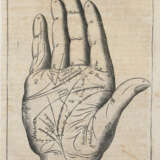 Hildebrand, W. - Foto 4