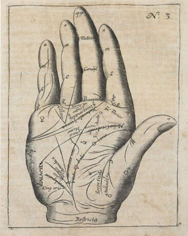 Hildebrand, W. - Foto 4