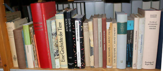 Konvolut - фото 4 Konvolut - фото 4