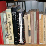 Konvolut - фото 4