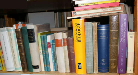 Konvolut - фото 5 Konvolut - фото 5