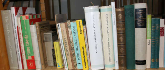 Konvolut - фото 6 Konvolut - фото 6