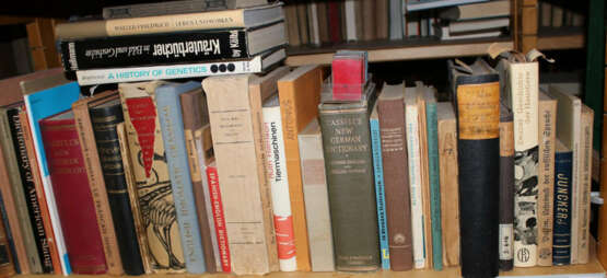 Konvolut - фото 7 Konvolut - фото 7