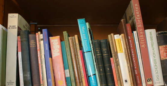 Konvolut - photo 23 Konvolut - photo 23