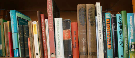 Konvolut - photo 24 Konvolut - photo 24