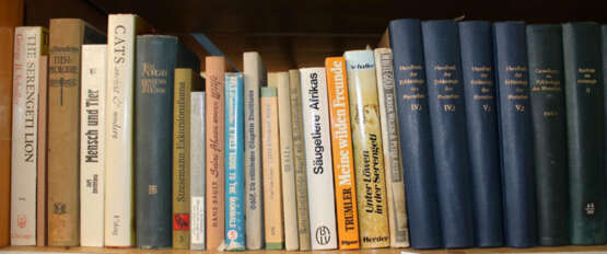 Konvolut - photo 25 Konvolut - photo 25