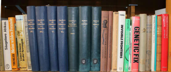 Konvolut - photo 1 Konvolut - photo 1