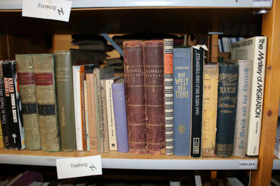 Konvolut - photo 3 Konvolut - photo 3