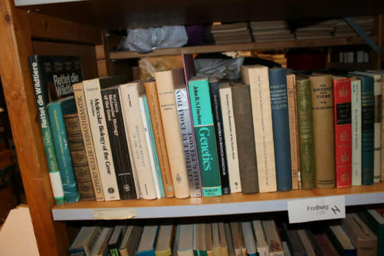 Konvolut - photo 4 Konvolut - photo 4