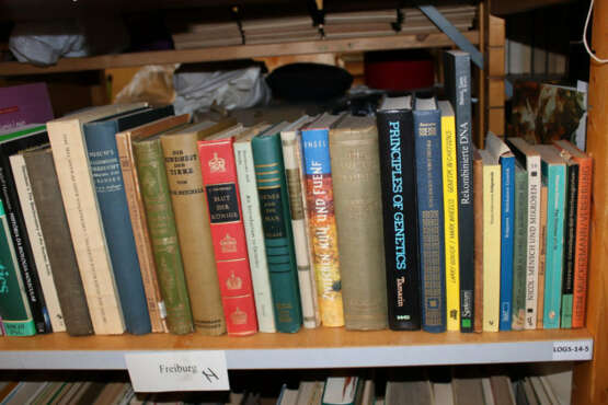 Konvolut - photo 5 Konvolut - photo 5