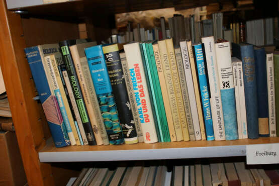 Konvolut - photo 6 Konvolut - photo 6