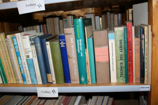 Konvolut - photo 7 Konvolut - photo 7