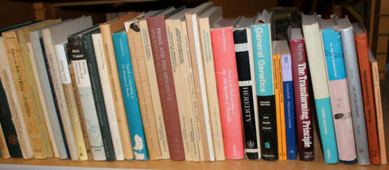 Konvolut - photo 9 Konvolut - photo 9