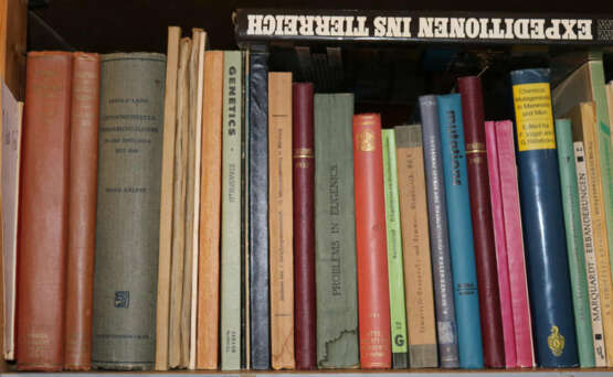 Konvolut - photo 10 Konvolut - photo 10