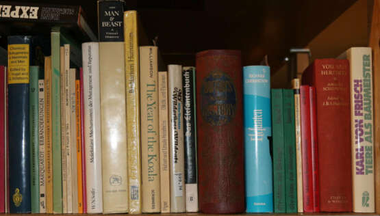 Konvolut - photo 11 Konvolut - photo 11