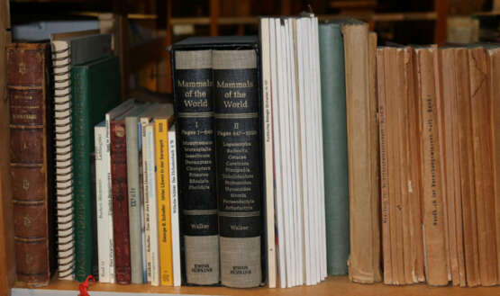 Konvolut - photo 12 Konvolut - photo 12