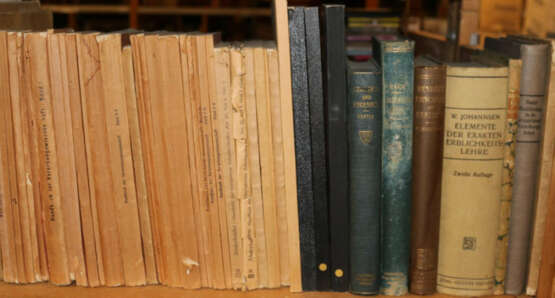 Konvolut - photo 13 Konvolut - photo 13