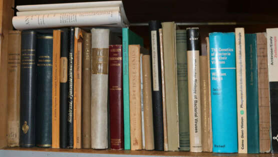 Konvolut - photo 14 Konvolut - photo 14