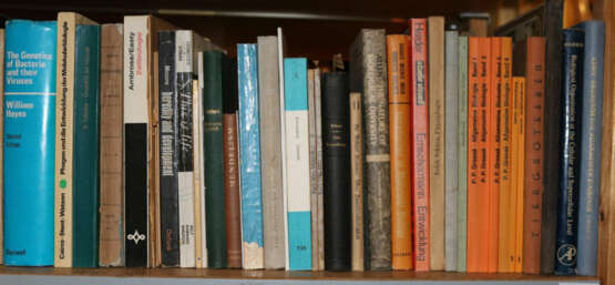 Konvolut - photo 15 Konvolut - photo 15