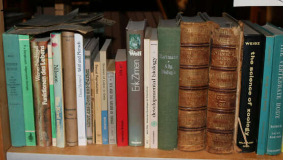 Konvolut - photo 16 Konvolut - photo 16