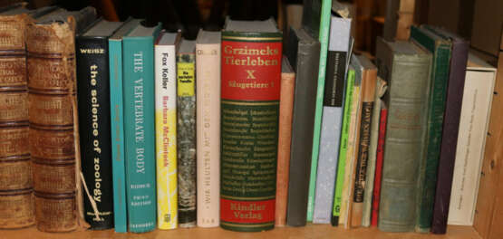 Konvolut - photo 17 Konvolut - photo 17