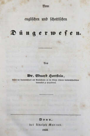 Bomarsund. - фото 5