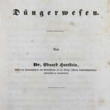 Bomarsund. - фото 5