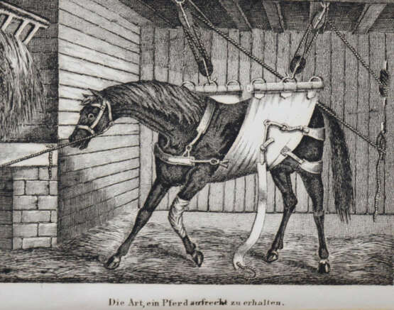 Apperley, C.J. - photo 2