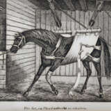 Apperley, C.J. - photo 2