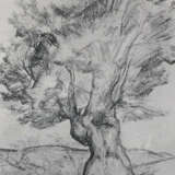 Civilta. - фото 4