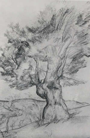 Civilta. - фото 4 Civilta. - фото 4