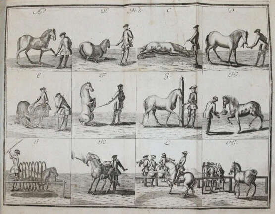 Florinus, F.P. - photo 4 Florinus, F.P. - photo 4