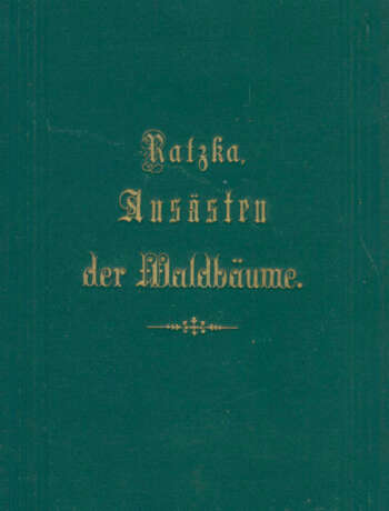 Sieben Werke. - photo 1