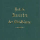 Sieben Werke. - photo 1