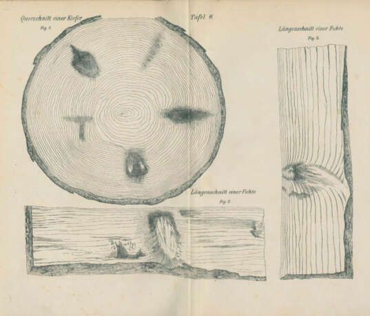 Sieben Werke. - photo 3