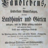 (Court van der Voort, P.). - photo 1