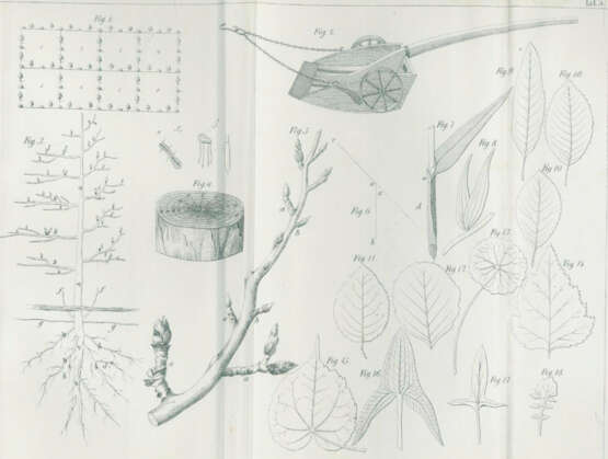 Hlubek, F.X. - photo 2