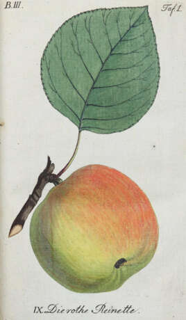 Sickler, J.V. Hrsg. - photo 1 Sickler, J.V. Hrsg. - photo 1