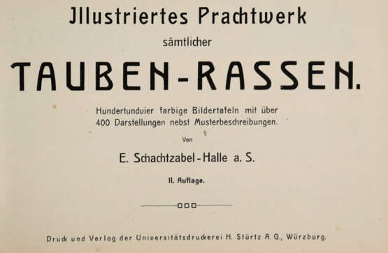 Schachtzabel, E. - photo 1