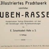 Schachtzabel, E. - photo 1