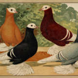 Schachtzabel, E. - photo 2