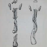 Archaeologia - фото 3