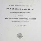 Hoffstadt, F. - фото 1