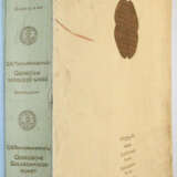 Tschubinaschwili, G. - photo 4