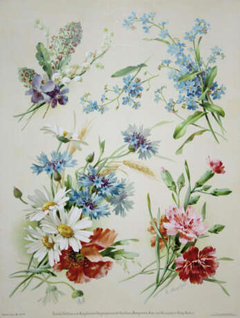 Bilder & Zeichen-Vorlagen - photo 1