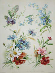 Bilder & Zeichen-Vorlagen