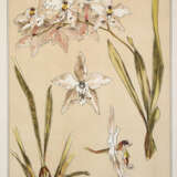 Pronberger, L. - photo 4