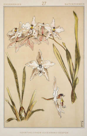 Pronberger, L. - фото 4 Pronberger, L. - фото 4