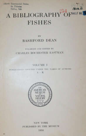 Dean, B. - photo 1 Dean, B. - photo 1