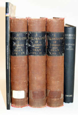 Dean, B. - photo 4 Dean, B. - photo 4